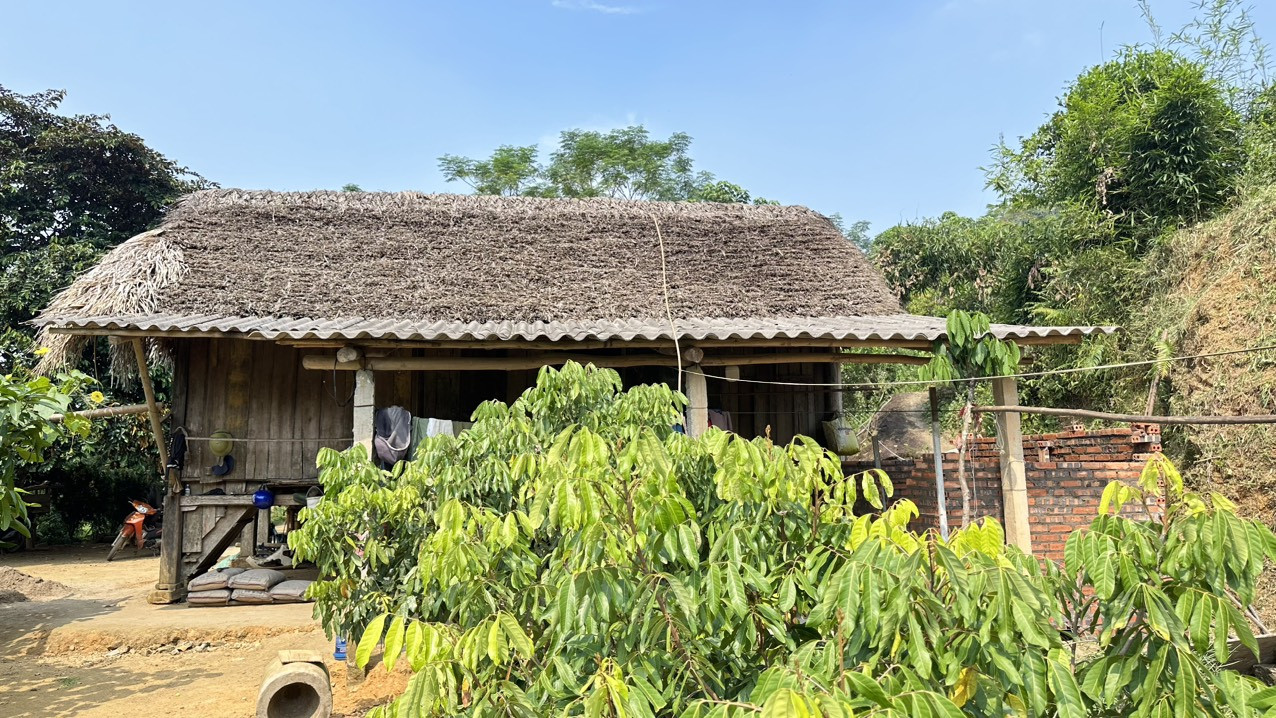 Khách Tây sang Việt Nam du lịch, thích thú nhổ cỏ, nấu cám lợn, dắt trâu đi cày-4