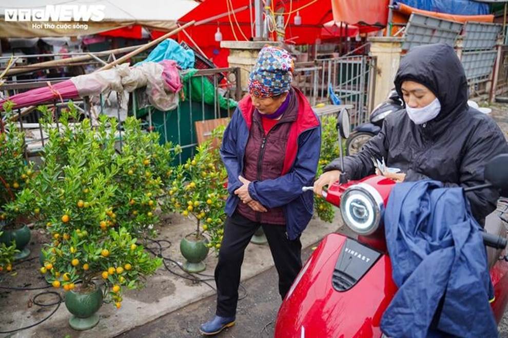 Đào, quất khoe sắc trên phố, người Hà Nội thích thú đón Tết Ất Tỵ sớm-13