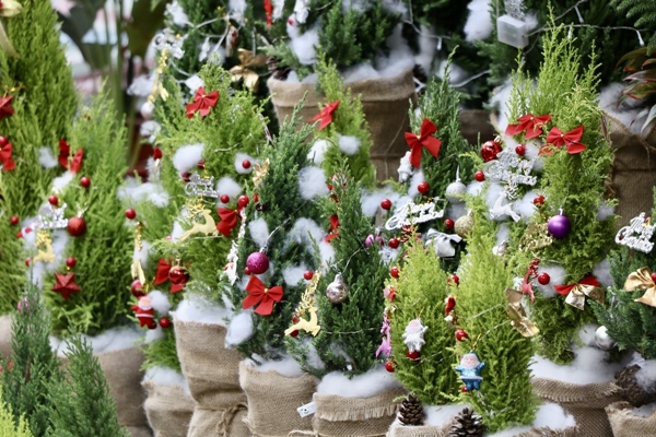 Mưa giảm giá, khuyến mại trong ngày Noel-17