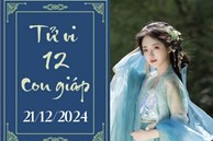 Tử vi 12 con giáp hôm nay ngày 21/12/2024: Sửu phát triển, Tuất khó khăn