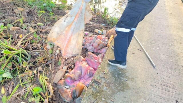 Phát hiện 2 bao tải căng phồng có mùi hôi trôi trên sông, cảnh sát vớt lên mở ra thì bàng hoàng với thứ bên trong-3