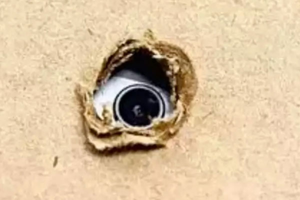 Rất gây tranh cãi: Nhân viên bị đuổi việc vì không chịu tập múa cho tiệc cuối năm của công ty-2