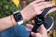 Nhiều dây đeo smartwatch chứa hoá chất vĩnh cửu gây hại