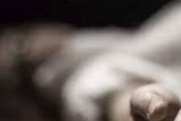 Cụ bà mất tích bí ẩn 2 năm, hàng xóm xem Google Maps phát hiện hình ảnh rùng rợn-4