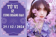 Tử vi 12 cung hoàng đạo ngày 25/12: Song Tử may mắn, Bảo Bình khó khăn