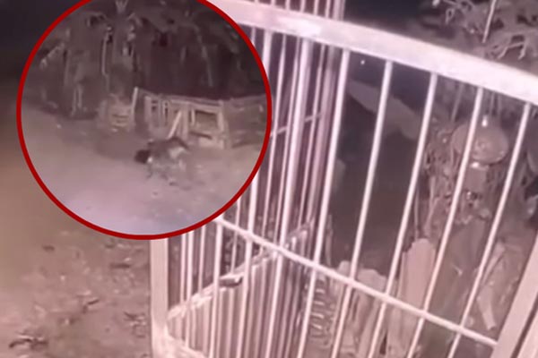 Hai vợ chồng ở Lạng Sơn tử vong với nhiều vết chém-2