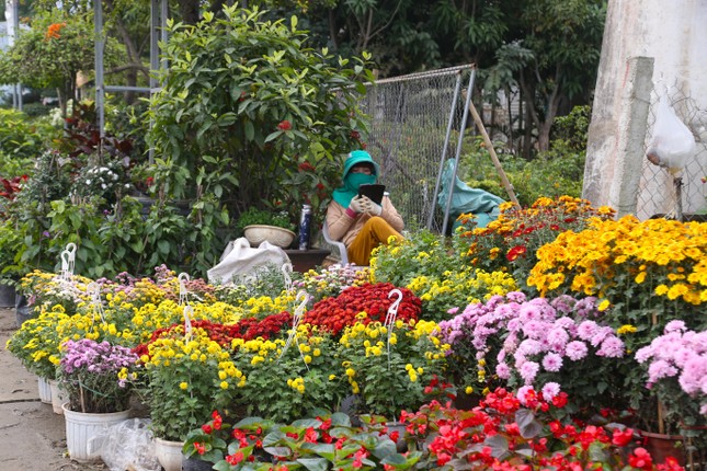 Mặt bằng bán hoa, cây cảnh Tết hiếm, có tiền cũng khó thuê-4