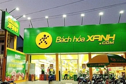 Bách Hoá Xanh thu hồi loại giá đỗ ở Đắk Lắk ngâm chất độc 'gây dị tật bẩm sinh'