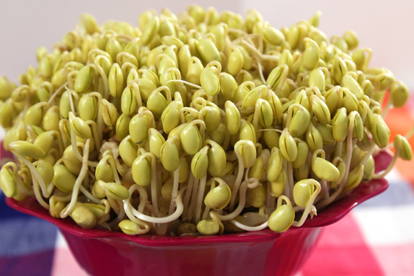 Cách vạch trần rau có hóa chất và không an toàn-2