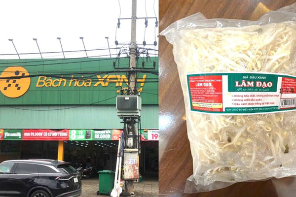 Lời khai của những kẻ dùng nước kẹo ủ gần 3.000 tấn giá đỗ-3