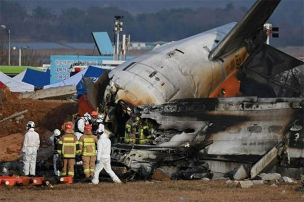 Nhận định yếu tố có thể dẫn đến vụ tai nạn máy bay chở 181 người ở Hàn Quốc-1