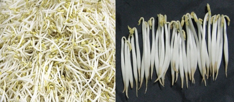 Cách vạch trần rau có hóa chất và không an toàn-1