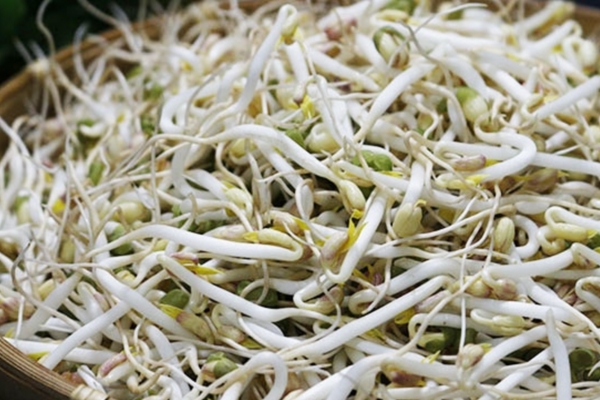 Vụ giá đỗ ủ hóa chất: Giật mình với việc kiểm tra, giám sát-2