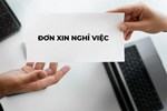 Tôi chỉ chờ nhận thưởng Tết xong là bỏ việc mà không hề áy náy