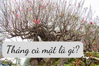 Vì sao tháng 12 Âm lịch được gọi là tháng củ mật?