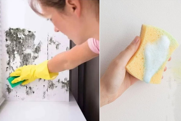 Mẹo làm sạch nấm mốc, vết ố trên ghế sofa-4