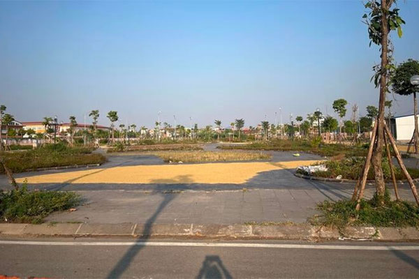 Giá vàng giảm trong ngày đầu năm mới-2