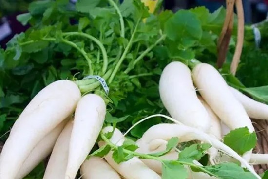 Củ cải có bộ phận 'bổ dưỡng tựa nhân sâm', người Việt thường bỏ đi mà không hay