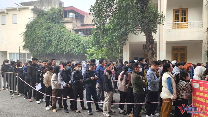 Nghìn người xếp hàng nhận vé chung kết, phe vé tất bật gom hàng-5