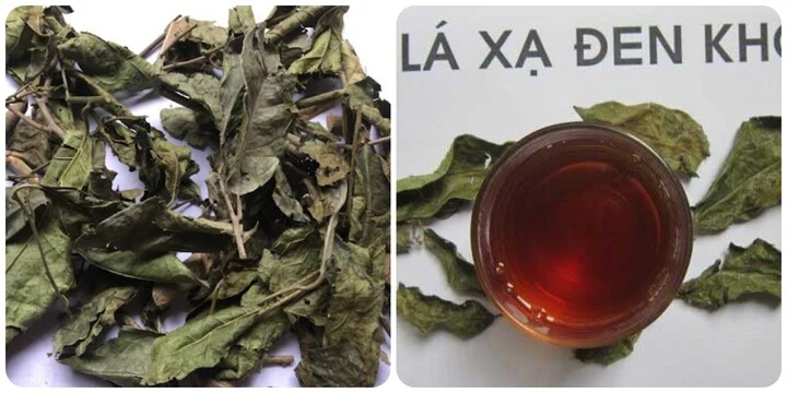 Những người nên uống nước xạ đen thường xuyên-1