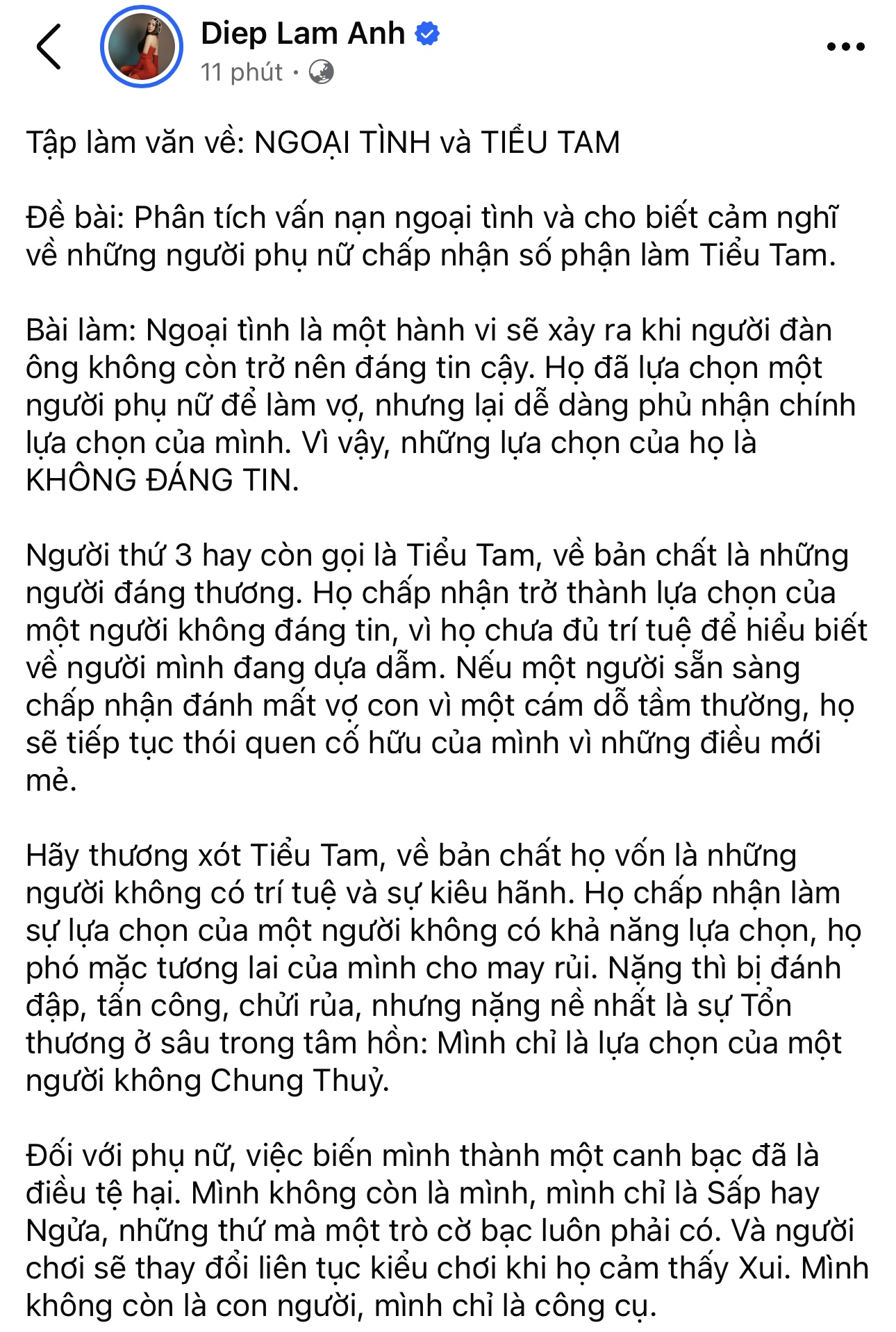 Diệp Lâm Anh: Hãy thương xót tiểu tam-1