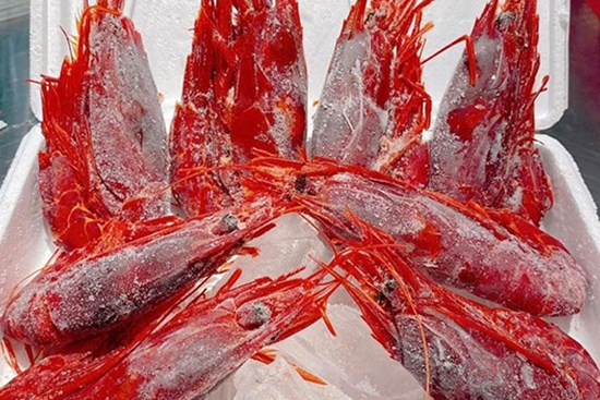 Tôm quỷ đỏ đắt nhất thế giới đổ bộ chợ Tết Ất Tỵ, giá 4,7 triệu đồng/kg