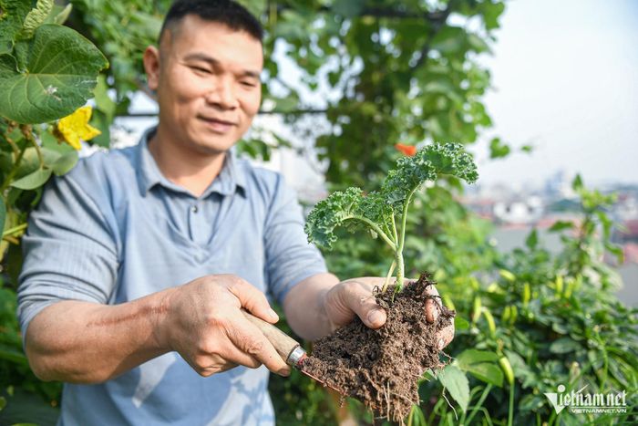 Ông bố Hà Nội chi 400 triệu, kéo 10 tấn rác để cải tạo nông trại sân thượng-12