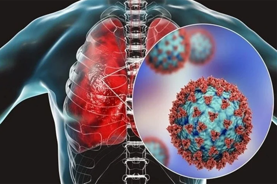 Virus viêm phổi HMPV lây lan ở Trung Quốc nguy hiểm ra sao?