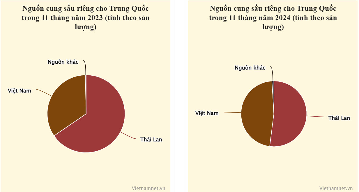 Trung Quốc có ‘siêu công thức’ sầu riêng, Việt Nam thần tốc đua với Thái Lan-2