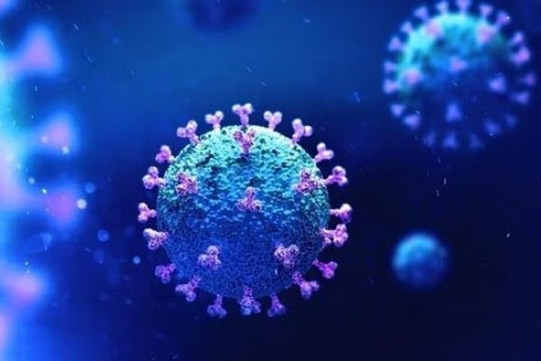 Mỹ: Phát hiện virus mới nguy hiểm, dấy lên nhiều lo ngại-4