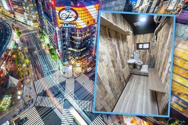 Mở cửa căn hộ cho thuê, chủ nhà suýt ngất khi thấy cảnh bên trong-3