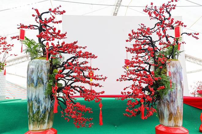 Hoa nhập độc lạ giá trăm triệu đồng, thú chơi Tết mới của nhà giàu Hà Nội-3