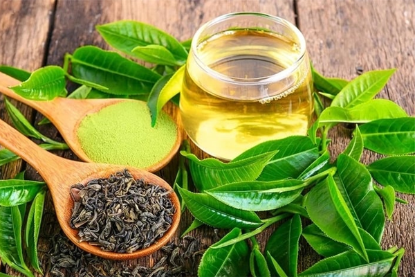 Nghiên cứu Nhật Bản: Lý do nên uống 3 tách trà xanh mỗi ngày-2