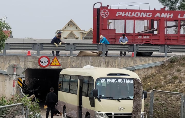 Phát hiện thi thể người đàn ông biến dạng trên cao tốc Hà Nội – Hải Phòng-2