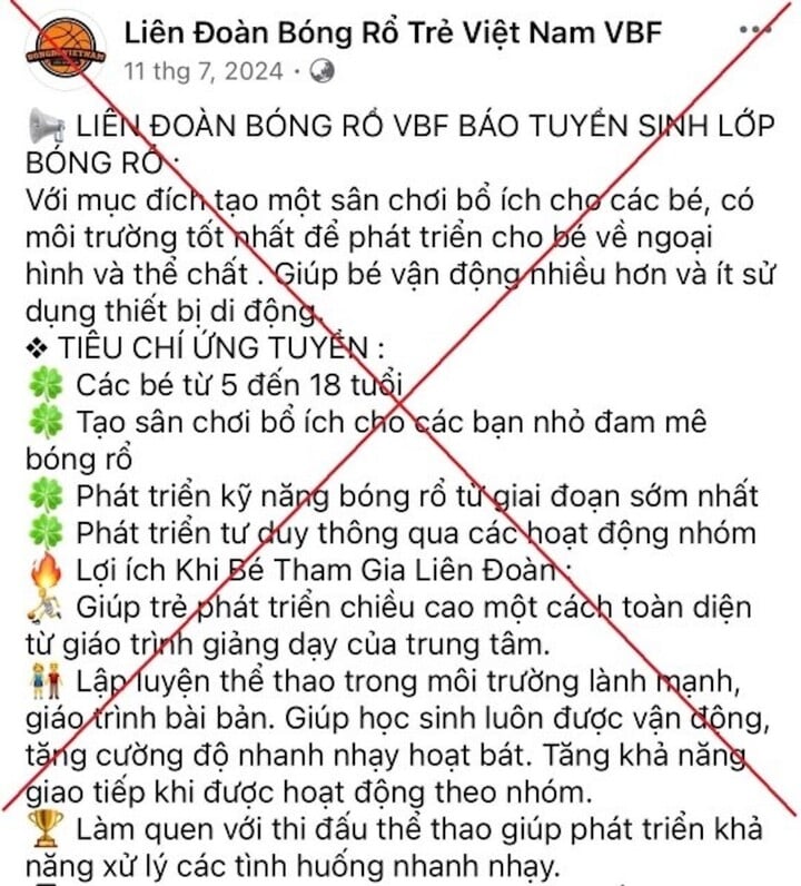Đăng ký học bóng rổ cho con trên mạng, người phụ nữ ở Hà Nội bị lừa 1,1 tỷ đồng-1