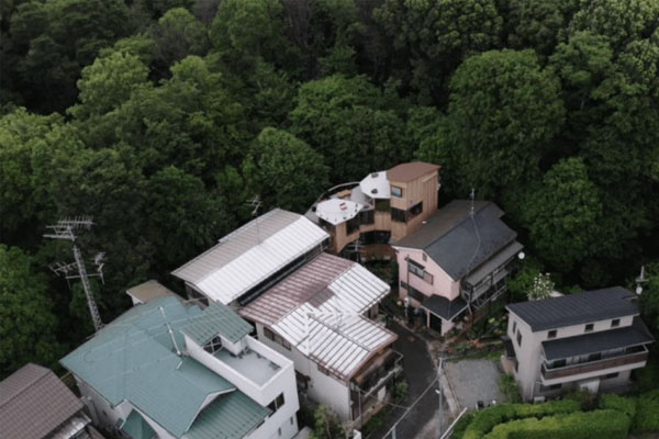 Bí ẩn căn biệt thự mái đỏ phủ đầy cây cỏ ở Long An-10