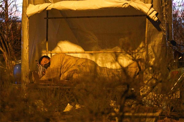 Dùng tiền thật trang trí cây thần tài vi phạm pháp luật-2