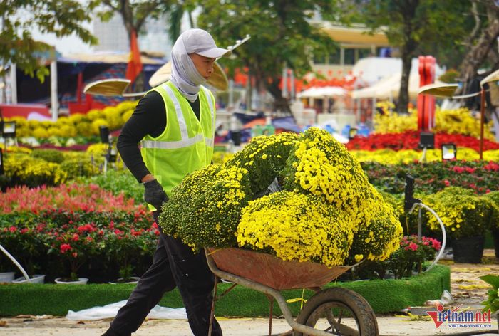 Lộ diện linh vật rắn ở Đà Nẵng, vừa xuất hiện đã hút người dân đến xem-6