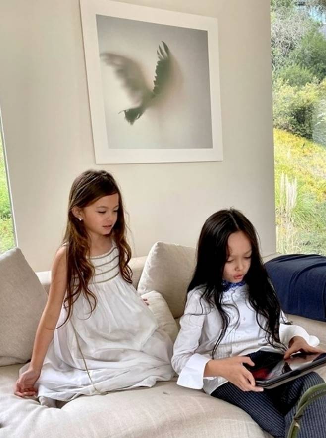 Cơ ngơi triệu đô” của sao Việt: Chiêm ngưỡng biệt thự ở Mỹ của Diva Hồng Nhung-6