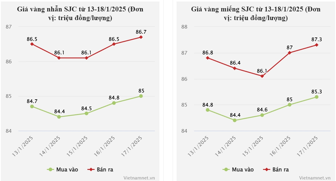 Giá vàng hôm nay 18/1/2025: Nhẫn trơn và vàng SJC tăng cao, thế giới lao dốc-1