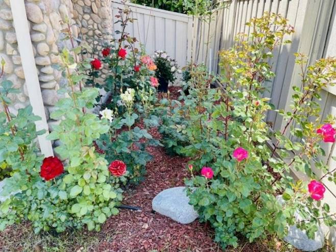 Cơ ngơi triệu đô” của sao Việt: Cận cảnh ngôi nhà ngập tràn hoa của Diệu Hương-6