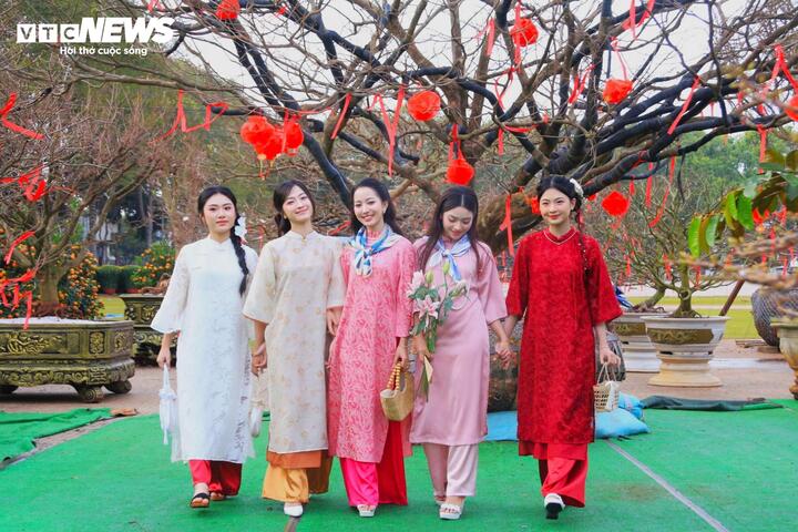 Chiêm ngưỡng cây mai cổ thụ tiền tỷ tại chợ hoa xuân Đắk Lắk-9