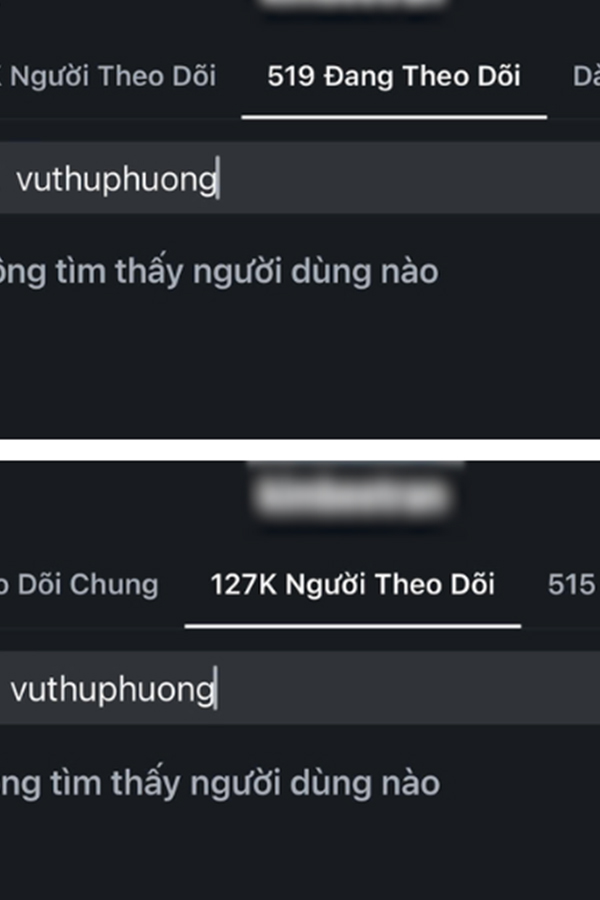 Sau ly hôn chồng đại gia, Vũ Thu Phương và con riêng có động thái ra sao?-2