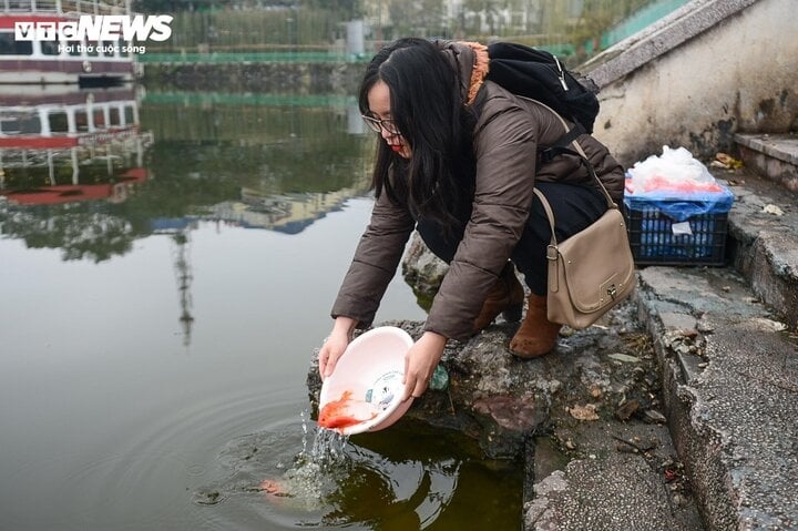 Vì sao ông Táo cưỡi cá chép?-2