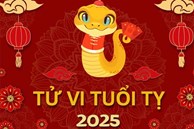 TỬ VI TUỔI TỴ 2025: Năm bản mệnh nhiều biến động