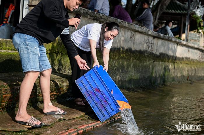 Đi gần 10km để thả cá sớm tiễn Táo quân lên Thiên đình-1