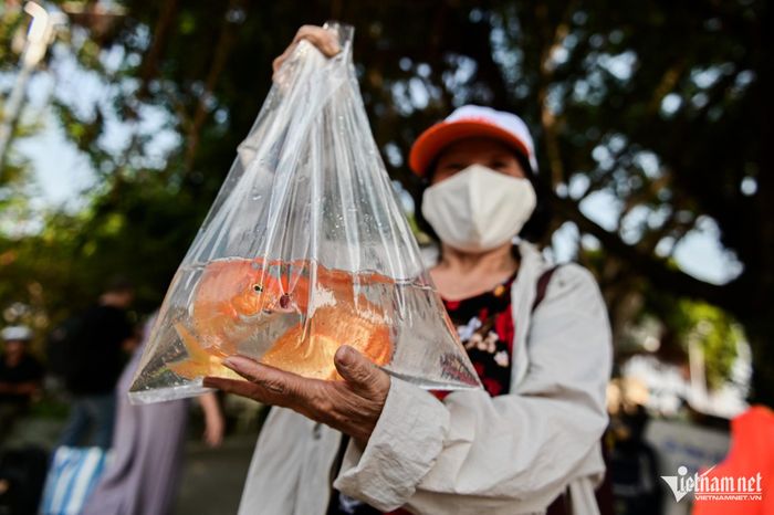 Đi gần 10km để thả cá sớm tiễn Táo quân lên Thiên đình-5