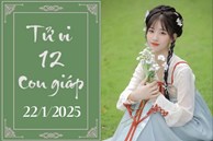 Tử vi 12 con giáp hôm nay ngày 22/1/2025: Thìn may mắn, Thân thuận lợi