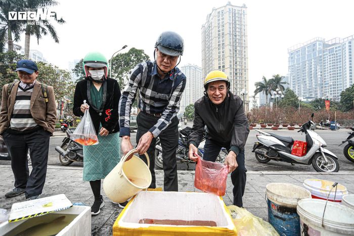 Cá chép đu dây xuống sông Hồng tiễn ông Công ông Táo về trời-1