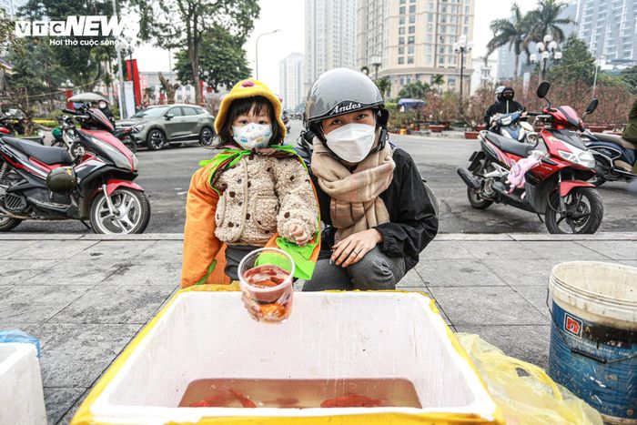 Cá chép đu dây xuống sông Hồng tiễn ông Công ông Táo về trời-13